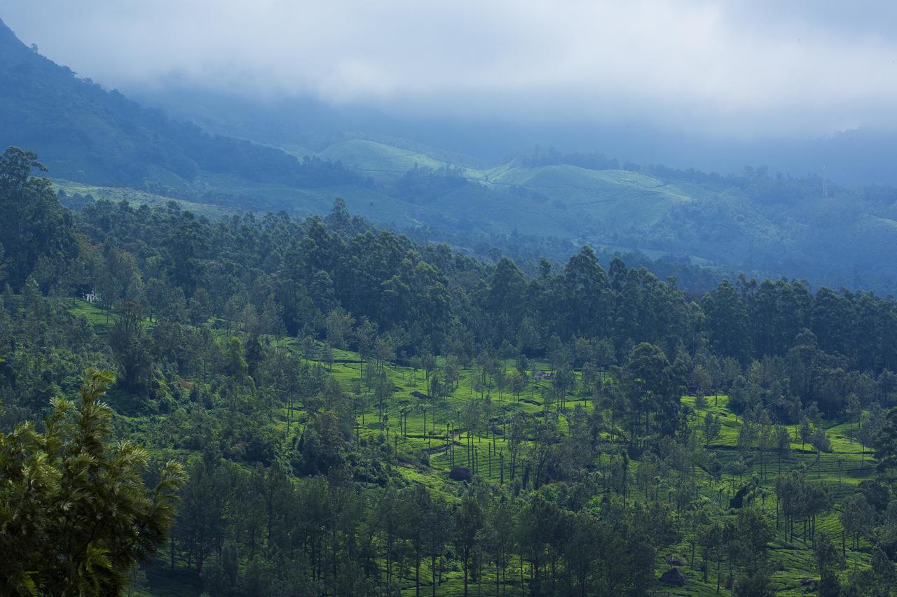 Mount View Munnar Hotel Bagian luar foto